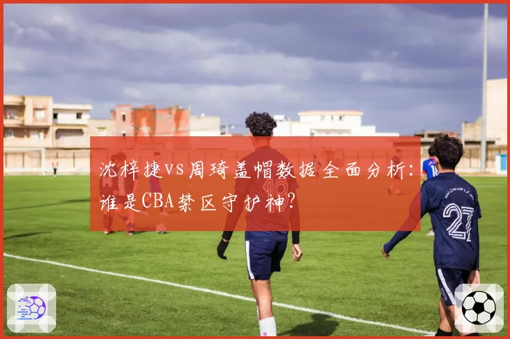 沈梓捷vs周琦盖帽数据全面分析：谁是CBA禁区守护神？