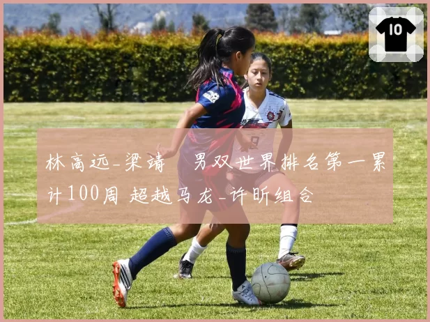 林高远_梁靖崑男双世界排名第一累计100周 超越马龙_许昕组合