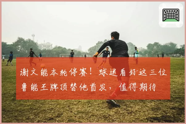 谢文能本轮停赛!球迷看好这三位鲁能王牌顶替他首发,值得期待