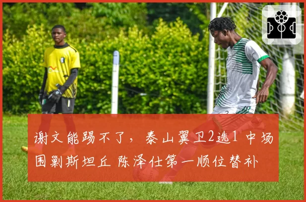 谢文能踢不了，泰山翼卫2选1 中场围剿斯坦丘 陈泽仕第一顺位替补