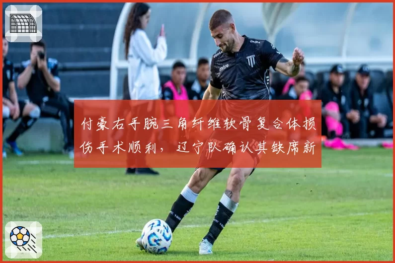 付豪右手腕三角纤维软骨复合体损伤手术顺利,辽宁队确认其缺席新赛季前十二轮